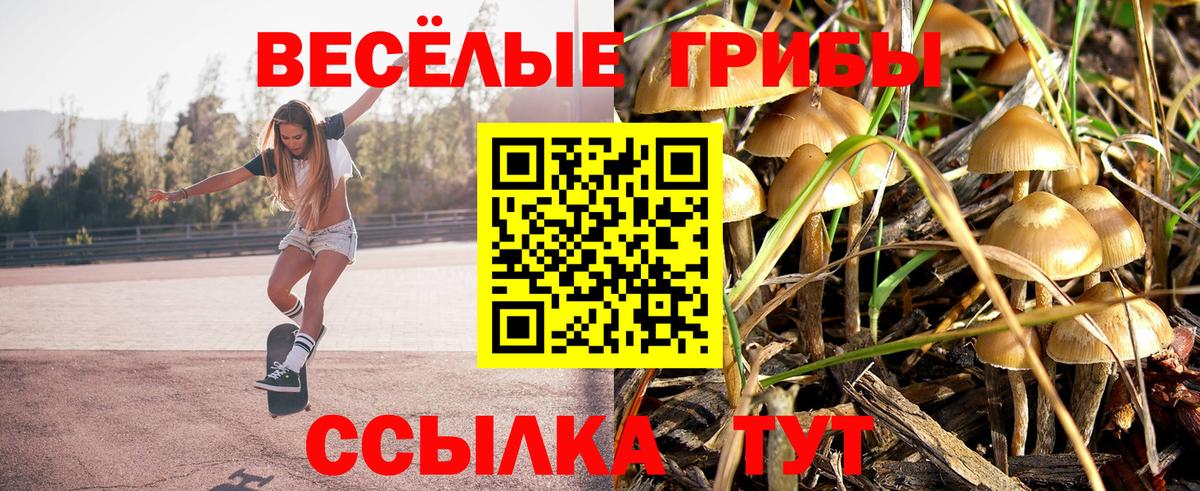 Галлюциногенные грибы прущие грибы Еманжелинск